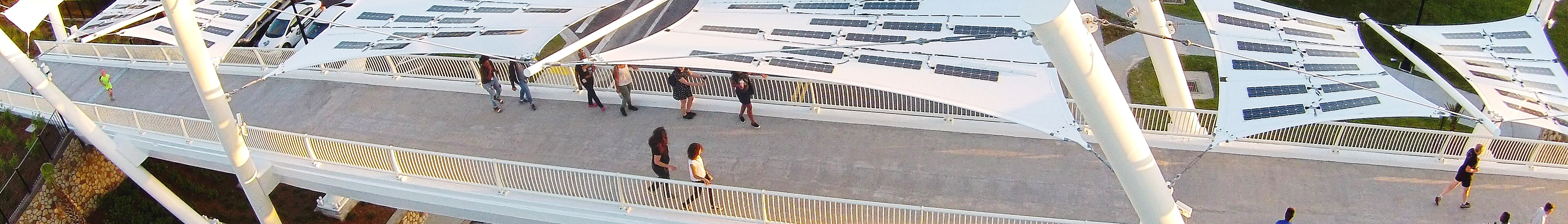 Image From Tallahassee