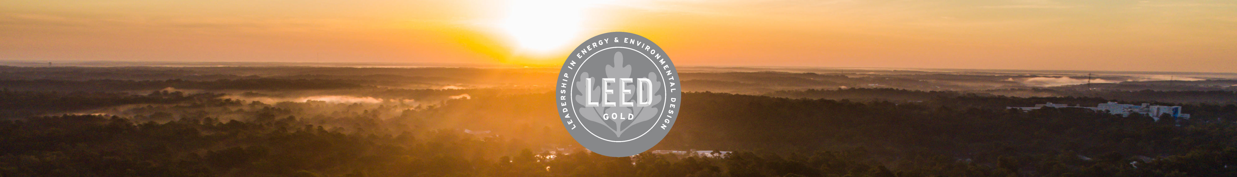 Image From Tallahassee